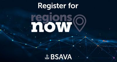 BSAVA announces virtual regional CPD